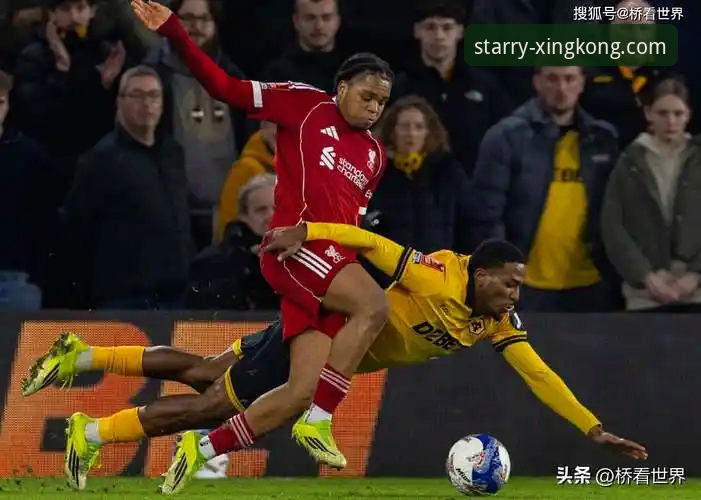 星空手机版下载怎么下载 狼队1-3利物浦:一场战术执行力与瞬间决断的深度解析