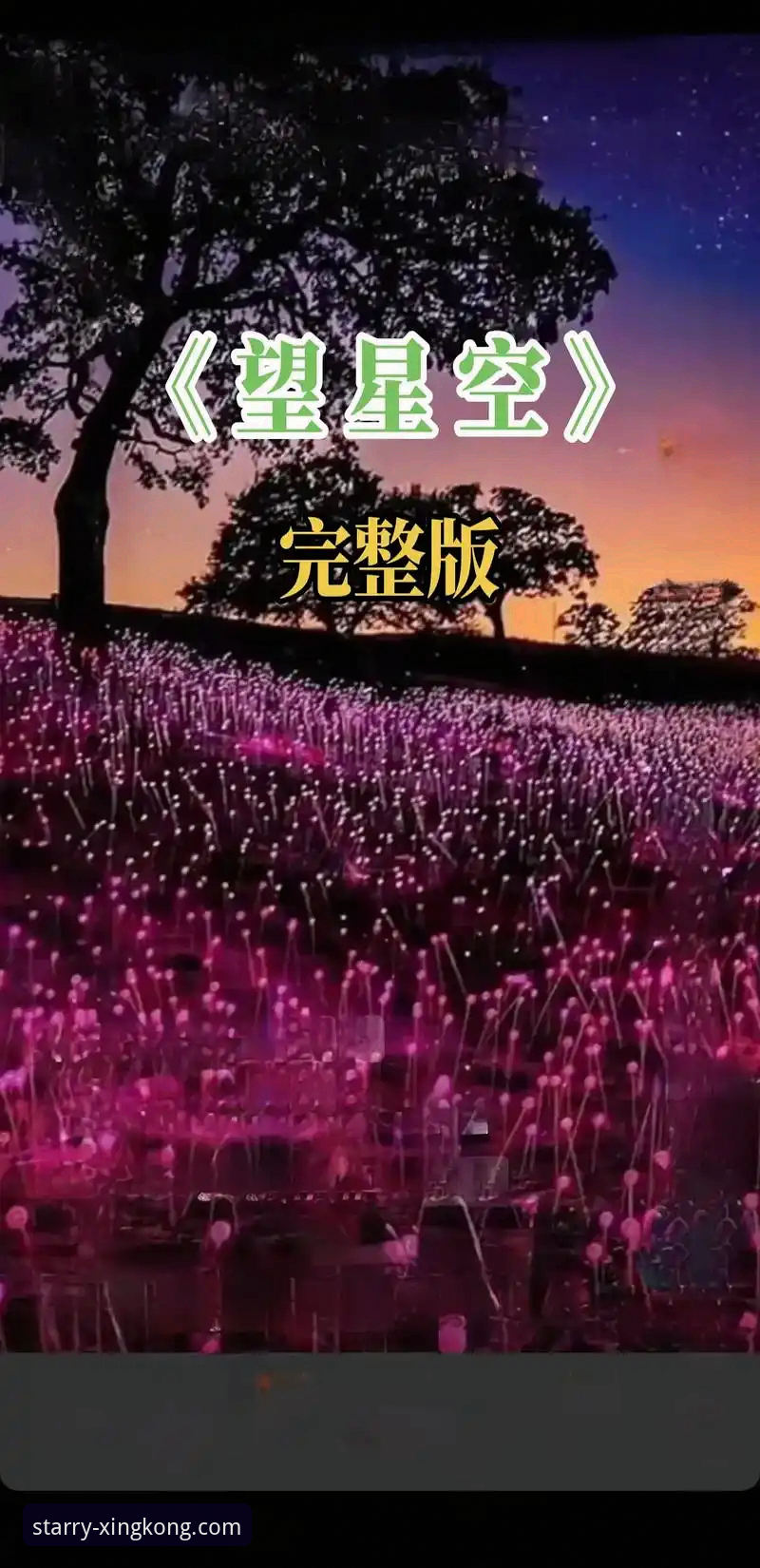 星空怎么下载 揭秘星空娱乐平台官方下载:避开陷阱,直达正版的完整指南